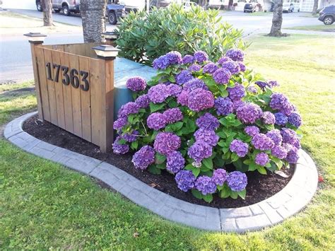 best perennials to hide electrical box in front yard|how to hide utility boxes.